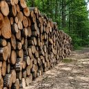 Indonesian Timber Legality Assurance System